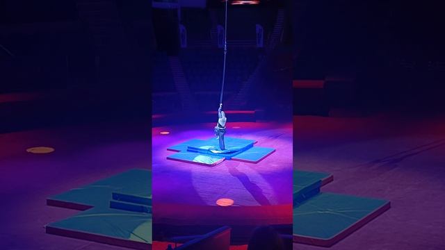 Четайкина Елизавета