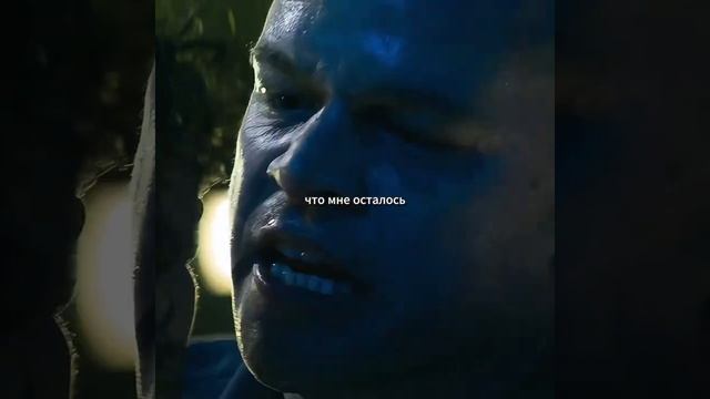 5 дней до смерти