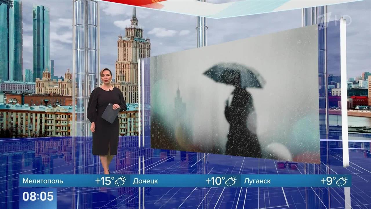 Мокрый снег может выпасть в некоторых районах Москвы