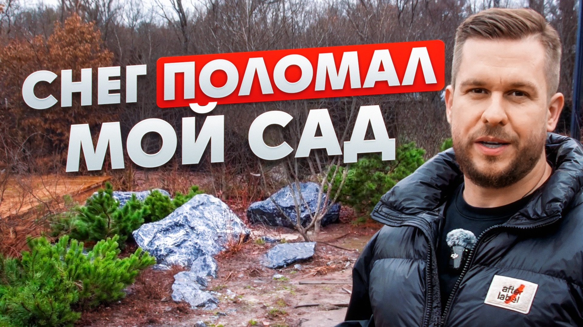 Что с моими растениями после снега (на моей даче)