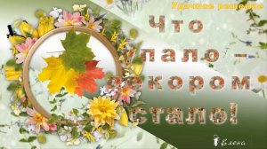 Что упало – декором стало!