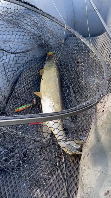 Весенняя рыбалка на спиннинг (малые реки России)