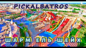 Аквапарк ПИКАЛЬБАТРОС (PICKALBATROS) в Шарм Эль Шейх. Египет
