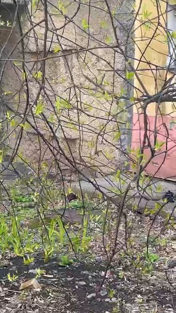 Владивосток Ульяновская 4. С обратной стороны