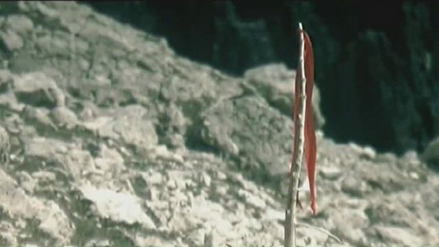 Добрая старинная короткометражка про двух спортсменов, идущих к одной цели разными путями...