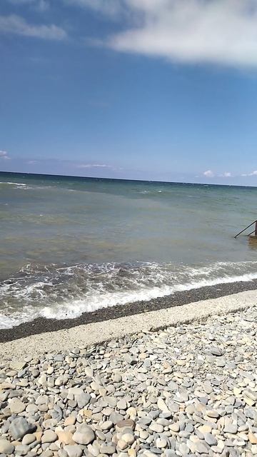 VID_20260419_115041.mp4