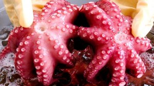 Удивительный корейский пибимпап, пибимпап с целым осьминогом, креветками, миска с морепродуктами