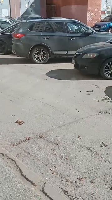 танец листьев