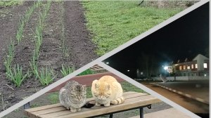 День тихий и тёплый))