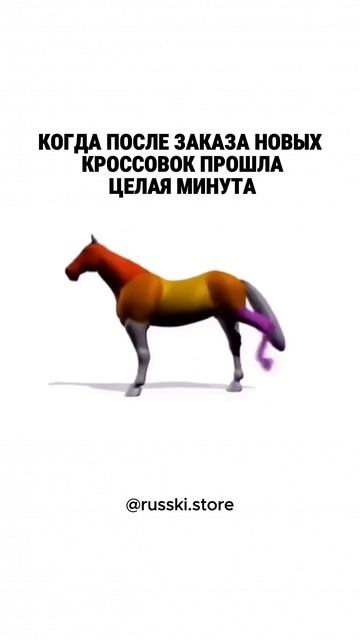 в RUSSKI всегда быстрая доставка!