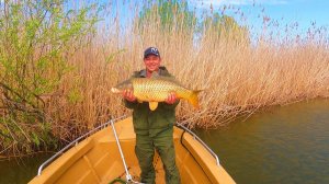 Оставили поставушки на ночь Трофей взят но удочки украли Рыбалка на сазана в Астрахани
