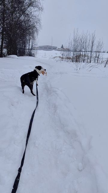 Танита 28 февраля 2026 года