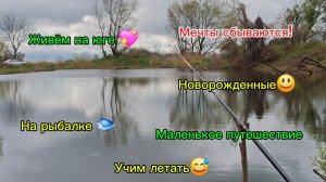 20-02-2026  Переехали на юг/Жизнь на юге/Рыбалка/Новорожденные/Первый раз такое видем/Путешествие юг