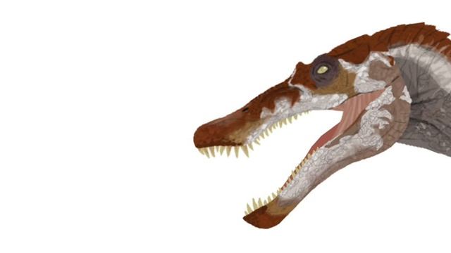 сколько спинозавру лет?