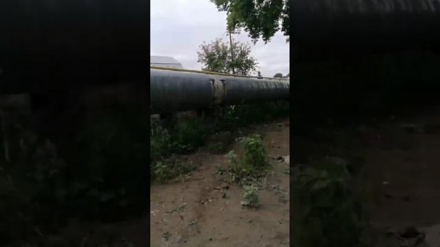 Поездка по мостам и мостикам р. Тула, Новосибирск