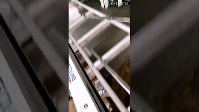 Шеф монтаж Internika  от Георгия