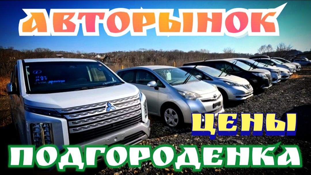 #АВТОРЫНОК ЦЕНЫ НА ПОДГОРОДЕНКЕ