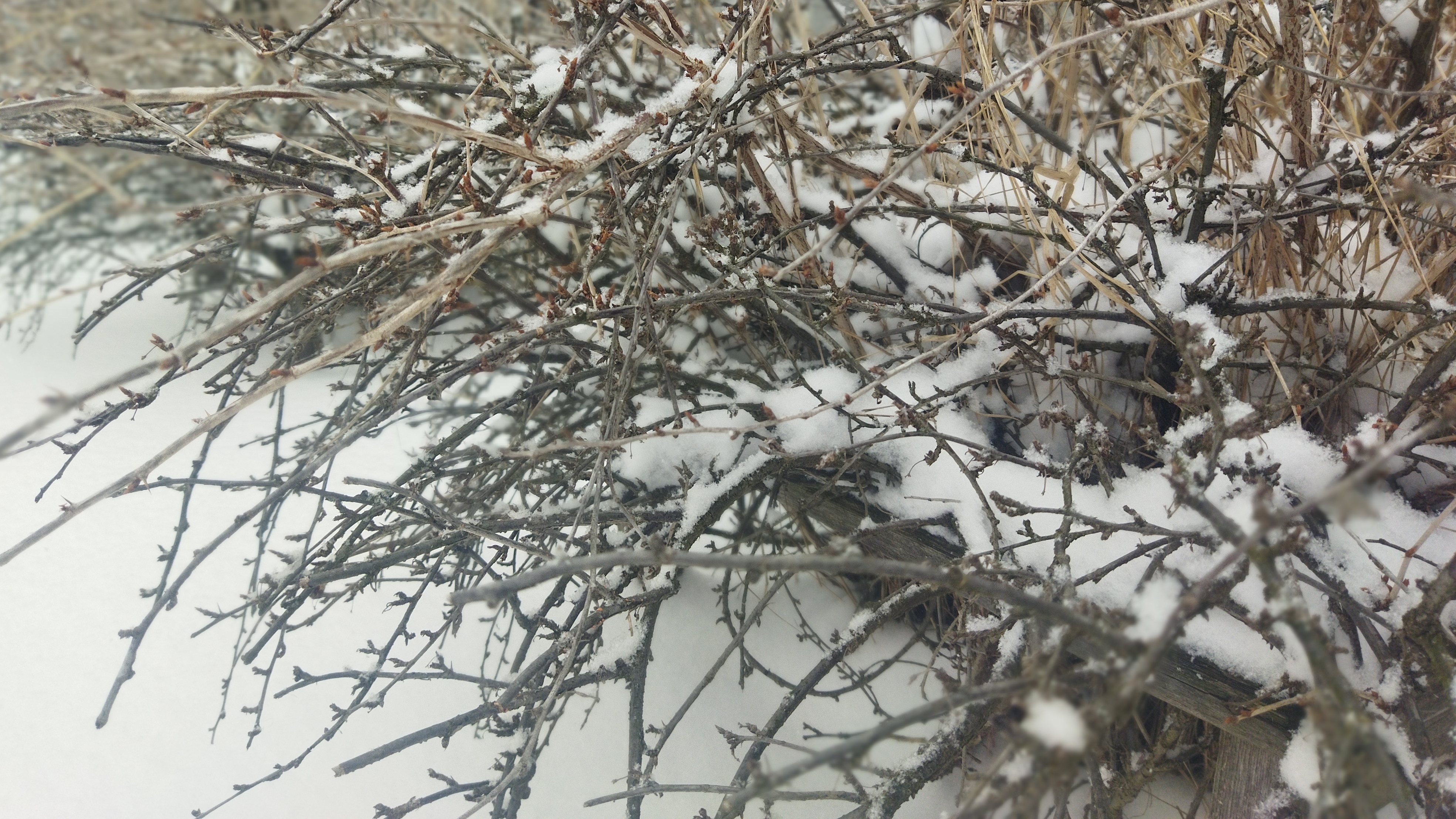 Зима вернулась!!!