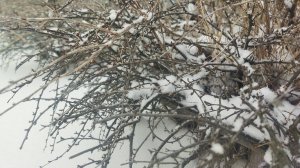 Зима вернулась!!!