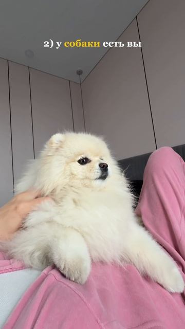 4 ПРИЧИНЫ СЧАСТЬЯ