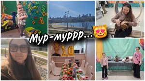 🎂ДР племянника. 😺Выставка кошек Мурфест.Теперь без наращенных ресниц. Гуляем в парке с Миленой 🤗