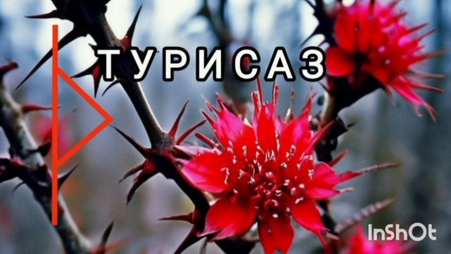 Т У Р И С А З. Моя Виса и практика.