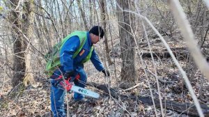 Владивостокцы вышли на субботник.