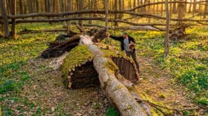 Строительство уютного двухкомнатного убежища под деревом. Буш крафт, выживание.