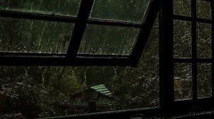 Дождь в лесу | Шум дождя для сна 1 час | Сильный дождь — глубокий сон | Дождь для расслабления