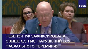 Небензя: РФ зафиксировала свыше 6,5 тыс. нарушений ВСУ пасхального перемирия