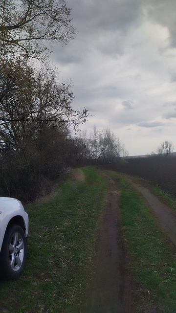 Чистый Яр ловим карасей