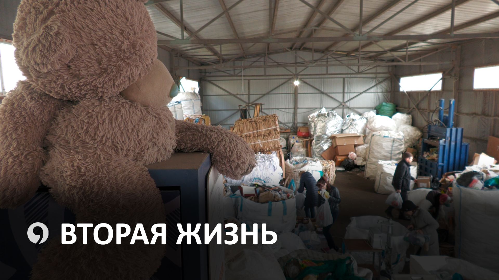 Как ставропольцы сохраняют природу, перерабатывая отходы