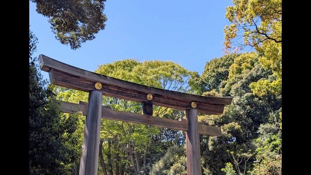 83.Ворота тории и высота небес.