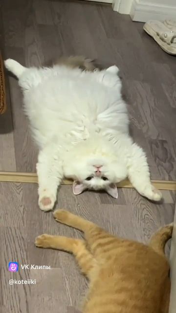 так по кайфу