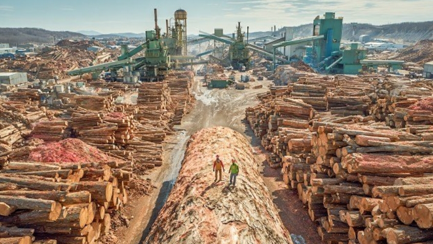 Как работают идеальные лесопильные заводы в США.