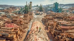 Как работают идеальные лесопильные заводы в США.