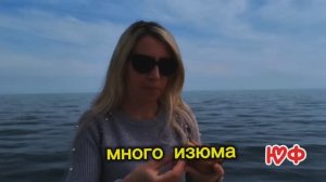 ЛУЧШИЙ ВИДЕО РЕЦЕПТ ПАСХАЛЬНЫХ КУЛИЧЕЙ НА ТВОРОЖНОМ ТЕСТЕ. Нежные и мягкие паски получаются с 1 раза