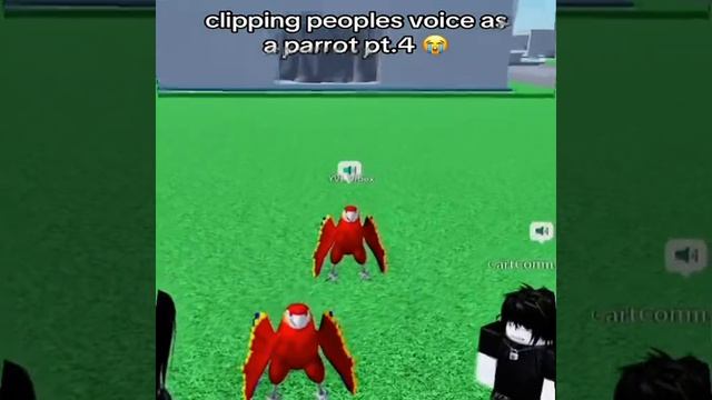 VID-20260419-WA0011.mp4