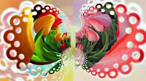 Весна! Очаровательные тюльпаны 5! Киностудия Мудрого Кота Тимофея!