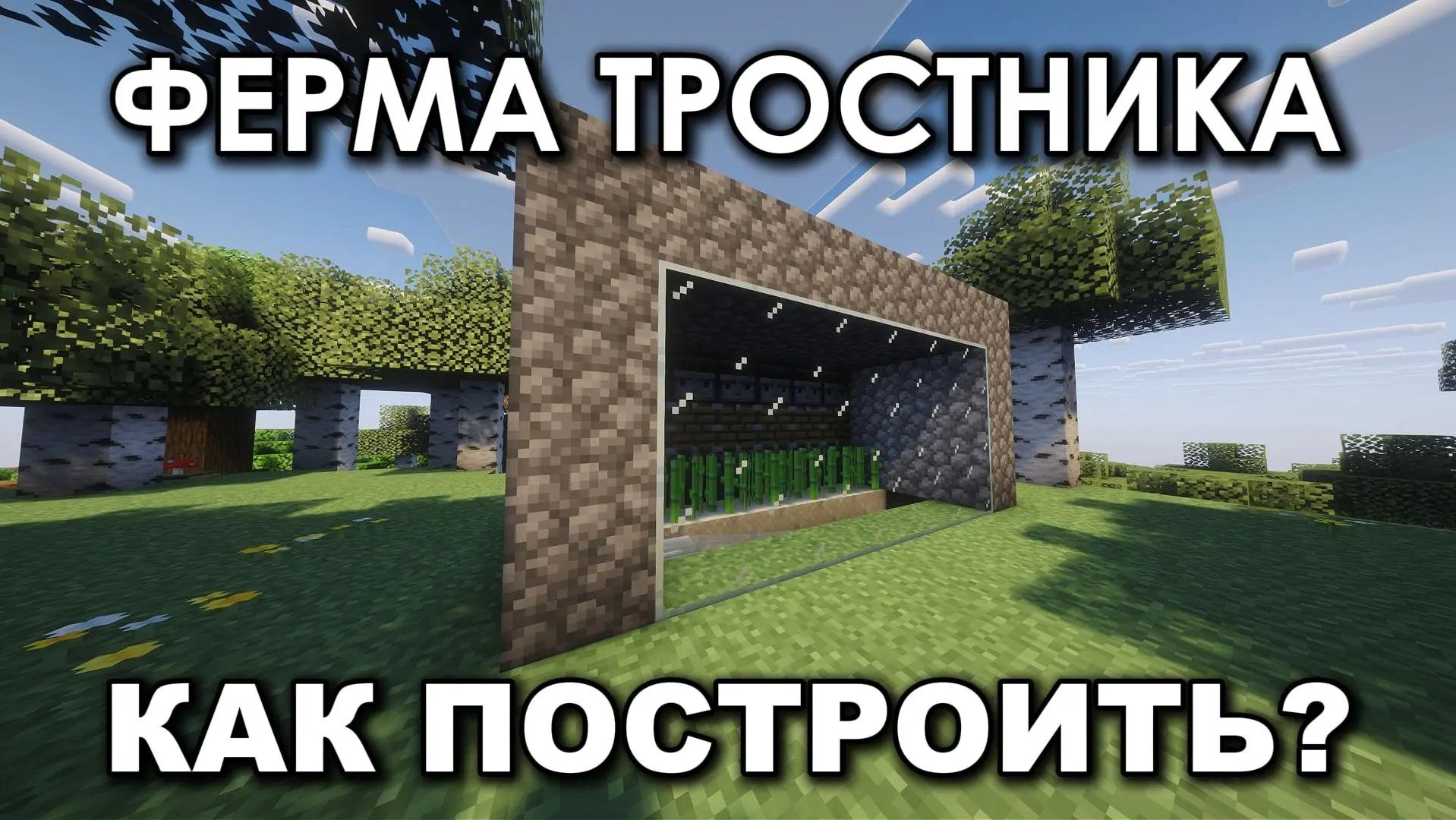 Как построить ферму тростника