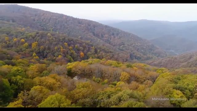 Армения |Armenia | Разнообразие цветов в Армении | The Variety Of Colors In Armenia