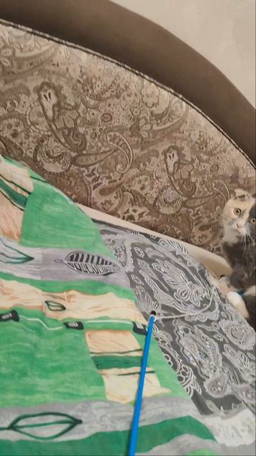 Маруся бабайка 🤗