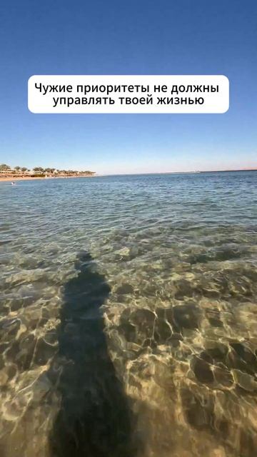 Учись говорить «нет» 👇 #мотивация #заработок #деньги #успех #бизнес #здоровье