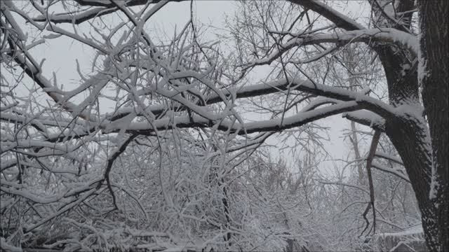 Майская погода.