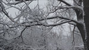 Майская погода.