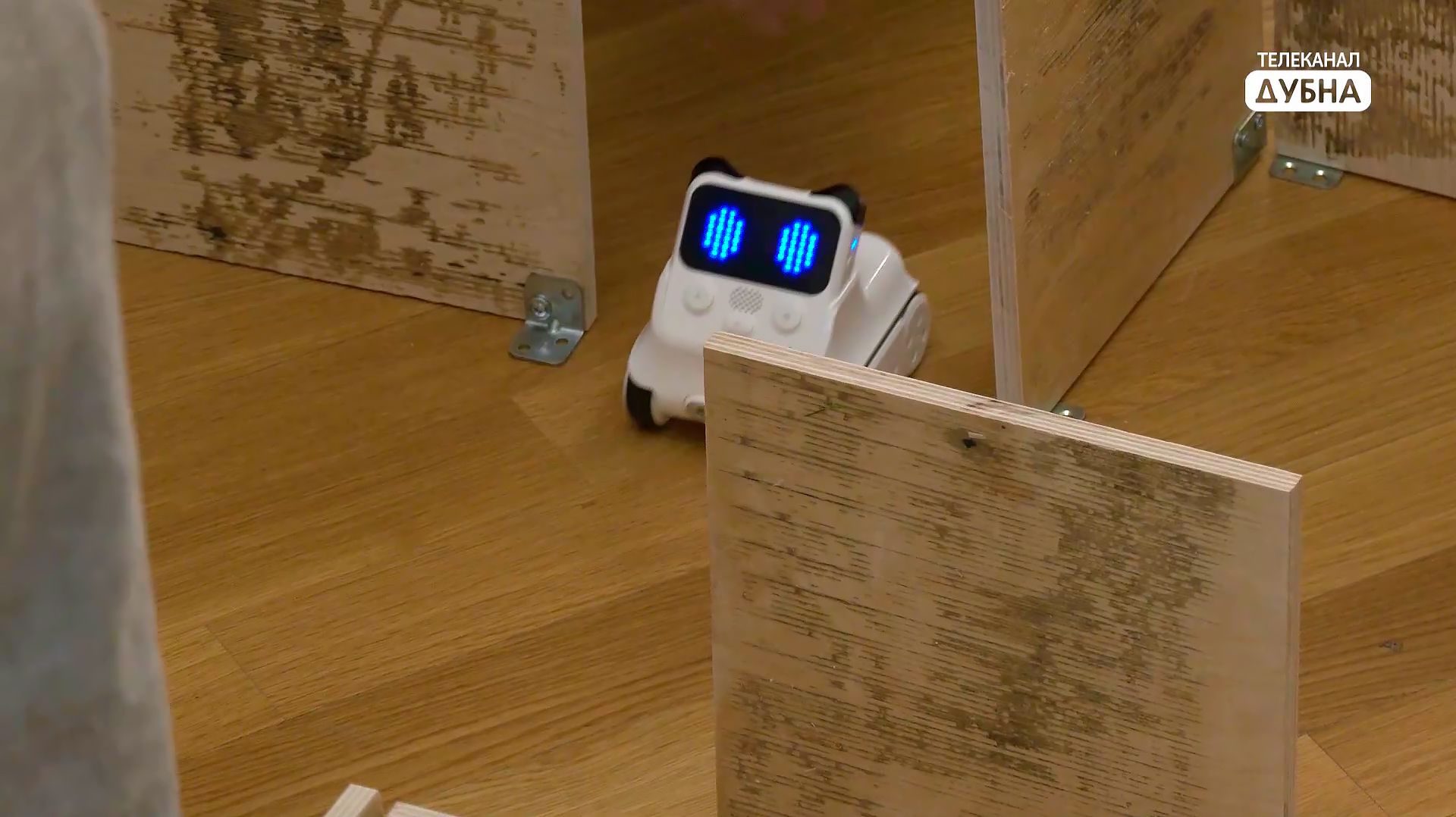 Праздник познания - фестиваль «Дни физики 2026» прошёл в Дубне