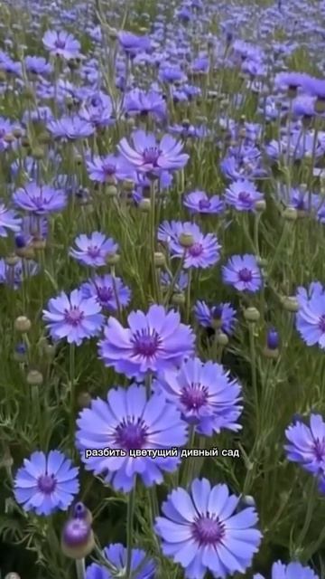 Заново начать