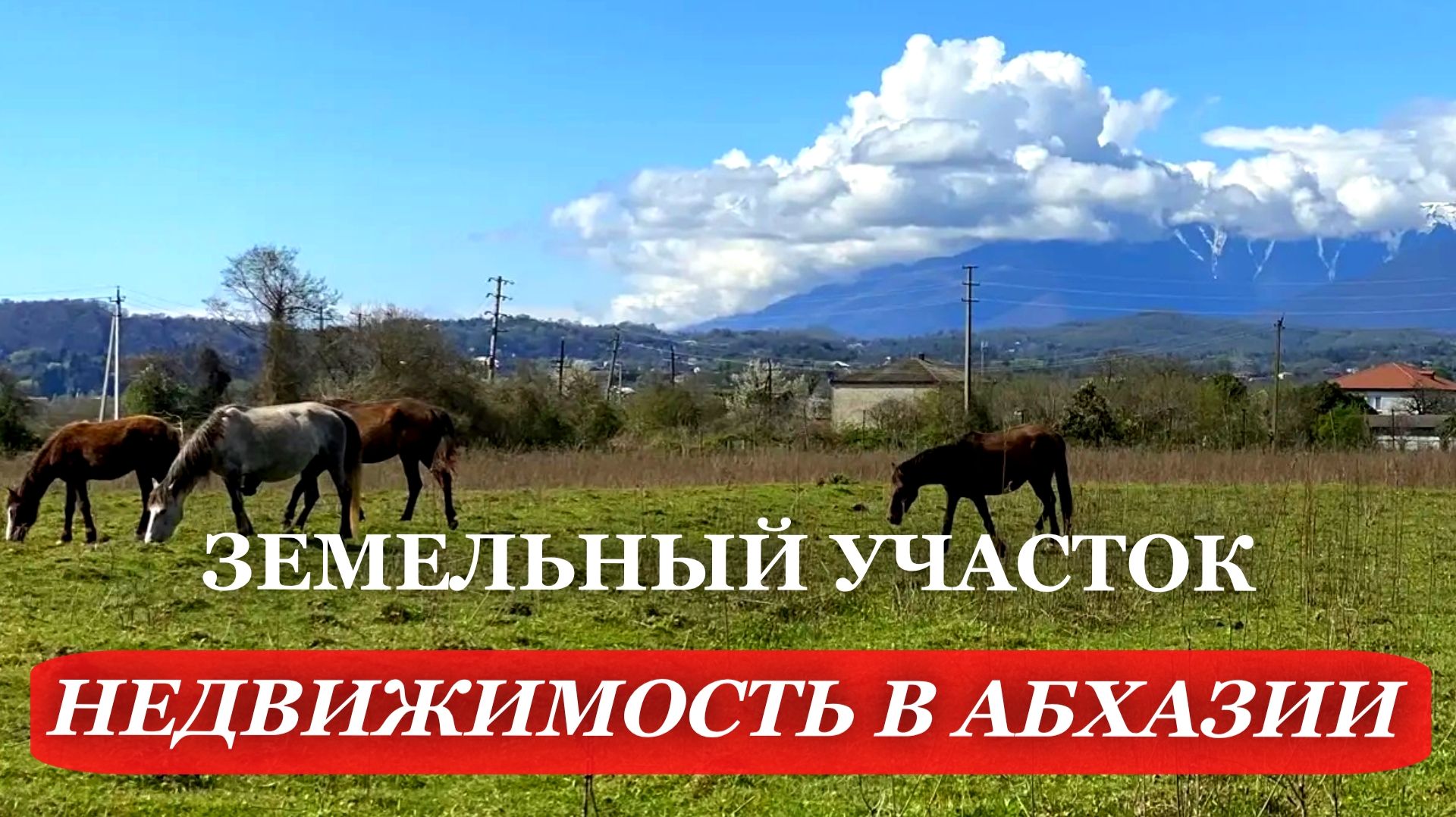 АБХАЗИЯ. 2026. ЗЕМЕЛЬНЫЙ участок с ВИДОМ на МОРЕ. НЕДВИЖИМОСТЬ в Абхазии