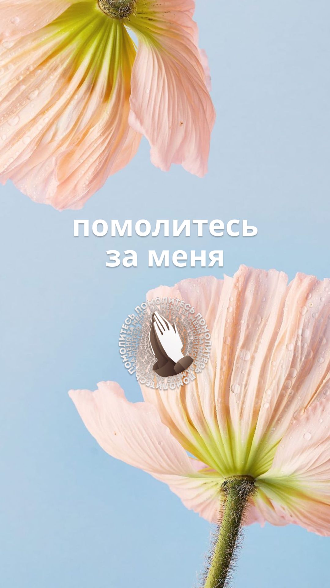 Помолитесь за меня!