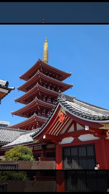 82.Детали жизни японской 😍.